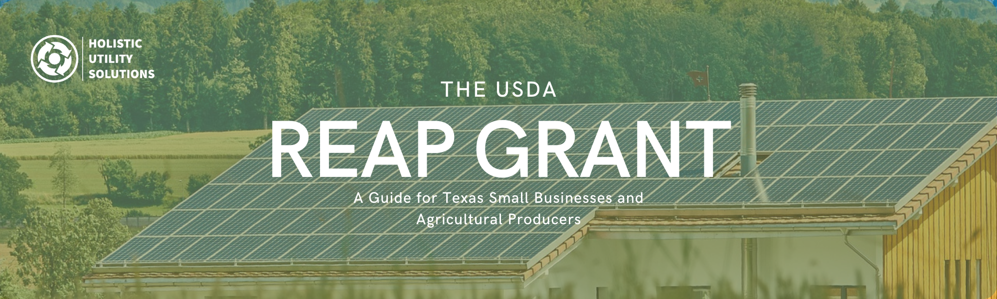 USDA REAP Grant Guide for Texas Small Businesses and Agricultural Producers